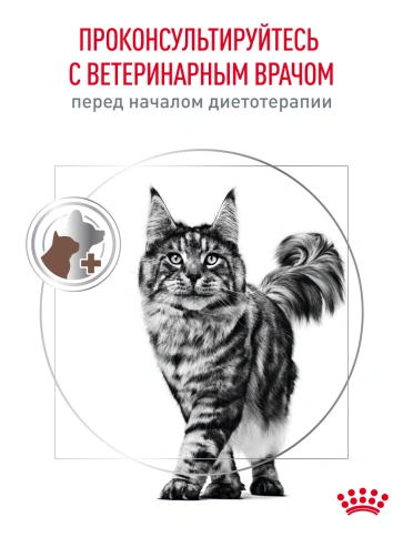 Сухой корм Royal Canin Gastrointestinal для кошек, 2 кг фото 19