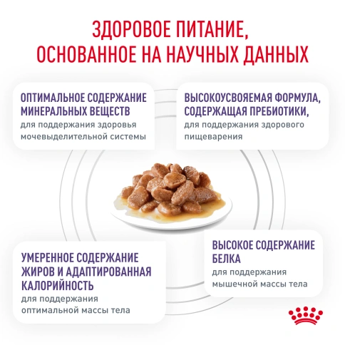 Влажный корм Royal Canin Neutered Maintenance в соусе для стерилизованных кошек до 7 лет, пауч, 85 г фото 4