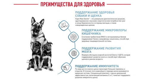 Сухой корм Royal Canin Maxi Starter Mother & Babydog для собак, 4 кг фото 5