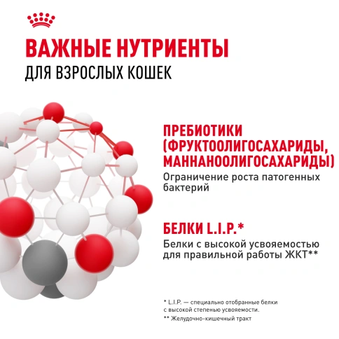 Сухой корм Royal Canin Digestive Care для кошек, 2 кг фото 5