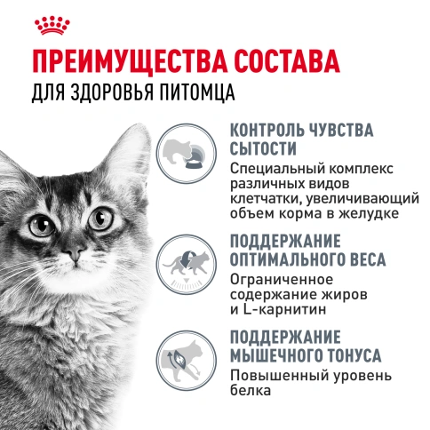 Влажный корм Royal Canin Light Weight Care в желе для взрослых кошек, склонных к полноте, пауч, 85 г фото 4