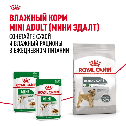 Сухой корм Royal Canin Mini Dental Care для собак, 1 кг фото 8