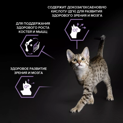 Сухой корм PRO PLAN Chicken для котят до года, с высоким содержанием курицы, 3 кг фото 2