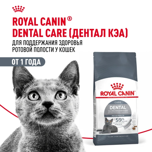 Сухой корм Royal Canin Dental Care для кошек, 1,5 кг фото 14