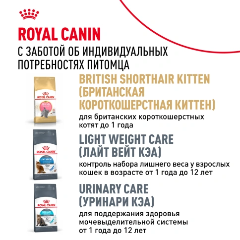 Сухой корм Royal Canin British Shorthair для кошек породы британская короткошерстная, 10 кг фото 9