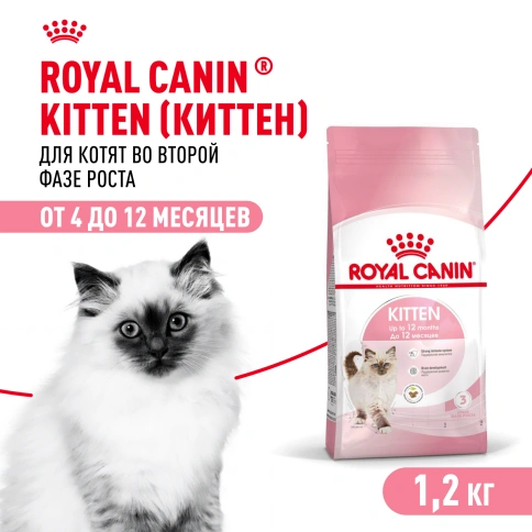 Сухой корм Royal Canin Kitten для котят, 1,2 кг фото 1