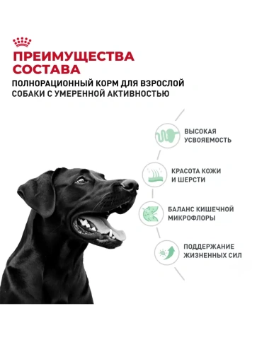 Сухой корм Royal Canin Club Adult Cс для взрослых собак, 20 кг фото 2