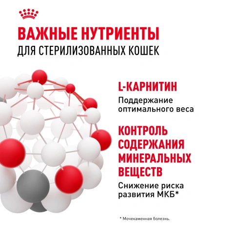 Влажный корм Royal Canin Sterilised паштет для стерилизованных кошек старше 1 года, пауч, 85 г фото 4