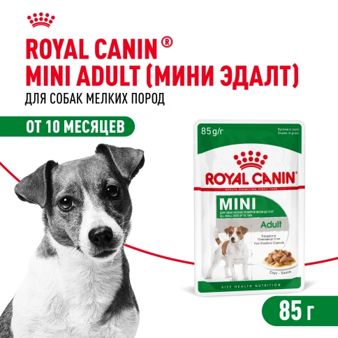 Влажный корм Royal Canin Mini Adult в соусе для взрослых собак мелких пород старше 10 месяцев, пауч, 85 г фото 1