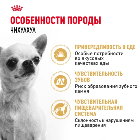 Сухой корм Royal Canin Chihuahua Adult для собак породы чихуахуа, 1,5 кг фото 2
