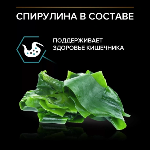 Сухой корм PRO PLAN Nature Elements Turkey для кошек с чувствительным пищеварением или особыми предпочтениями в еде, с высоким содержанием индейки, 7 кг фото 4
