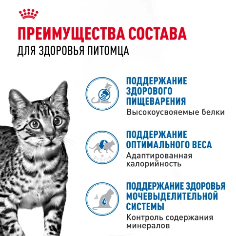Влажный корм Royal Canin Indoor sterilised в желе для кошек, живущих в помещении, пауч, 85 г фото 3