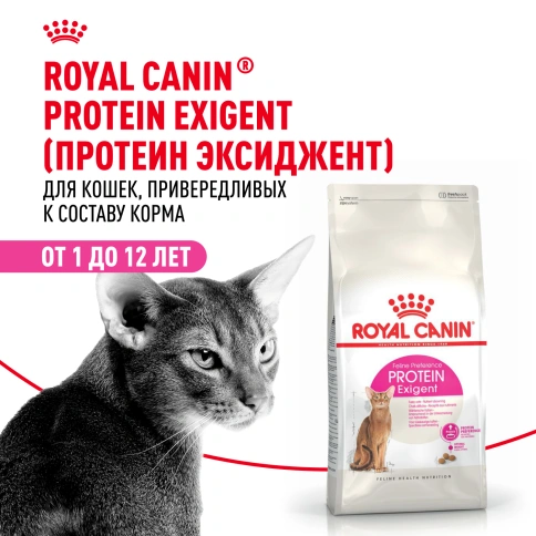 Сухой корм Royal Canin Protein Exigent для кошек, 400 г фото 12