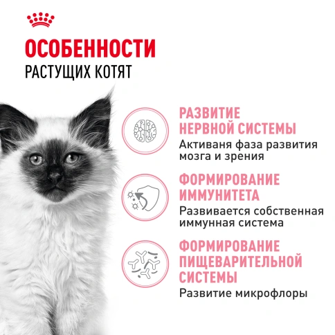 Сухой корм Royal Canin Kitten для котят, 300 г фото 2