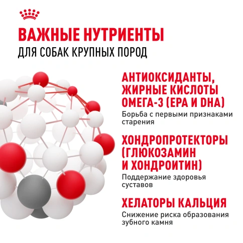 Сухой корм Royal Canin Maxi Adult 5+ для собак, 15 кг фото 5