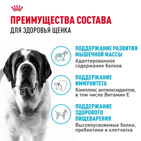 Сухой корм Royal Canin Giant Junior для щенков, 3,5 кг фото 3