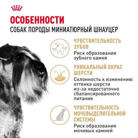 Сухой корм Royal Canin Miniature Schnauzer Adult для собак породы миниатюрный шнауцер, 3 кг фото 2
