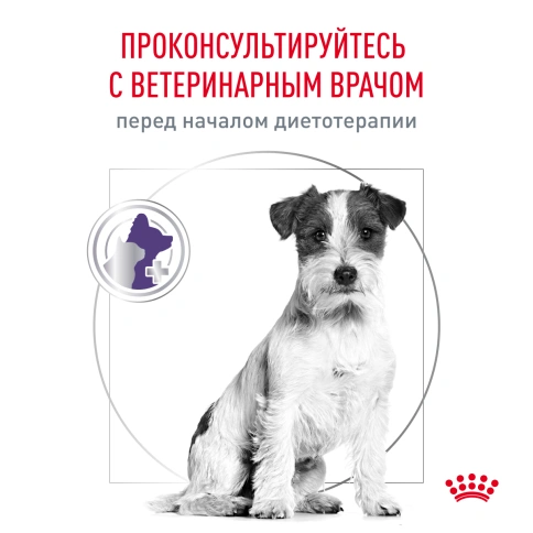 Сухой корм Royal Canin Neutered Adult Small Dogs для стерилизованных собак мелких пород, 800 г фото 7