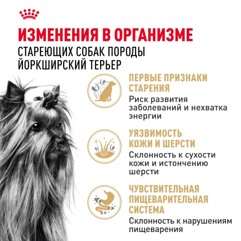 Сухой корм Royal Canin Yorkshire Terrier Adult для взрослых собак, 1,5 кг фото 3