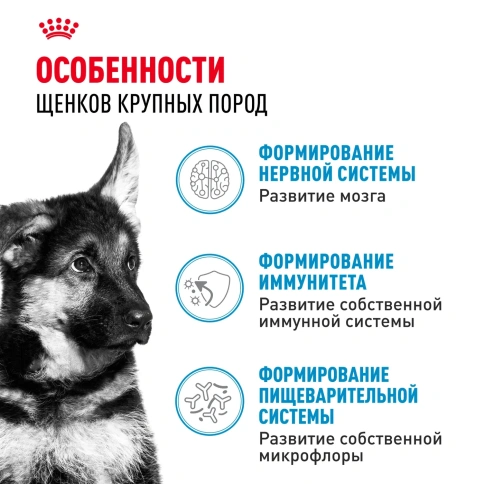 Влажный корм Royal Canin Maxi Puppy для щенков крупных пород в соусе, 100 г фото 2