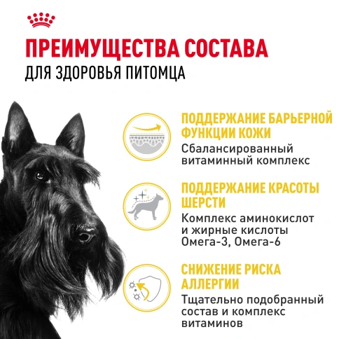 Сухой корм Royal Canin Mini Dermacomfort для собак, 3 кг фото 3