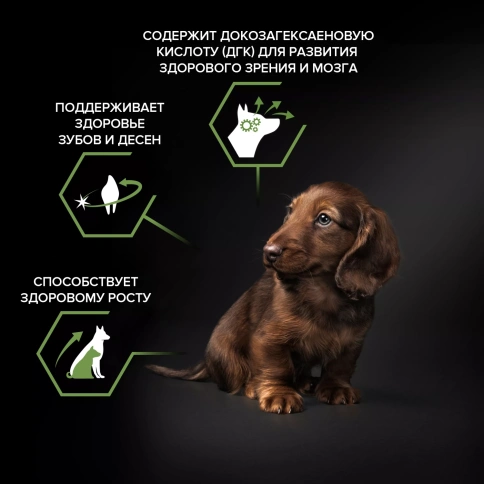 Сухой корм PRO PLAN Chicken для щенков мелких и карликовых пород, с высоким содержанием курицы, 3 кг фото 2