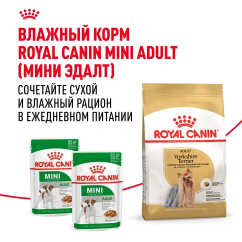 Сухой корм Royal Canin Yorkshire Terrier Adult для взрослых собак, 500 г фото 12