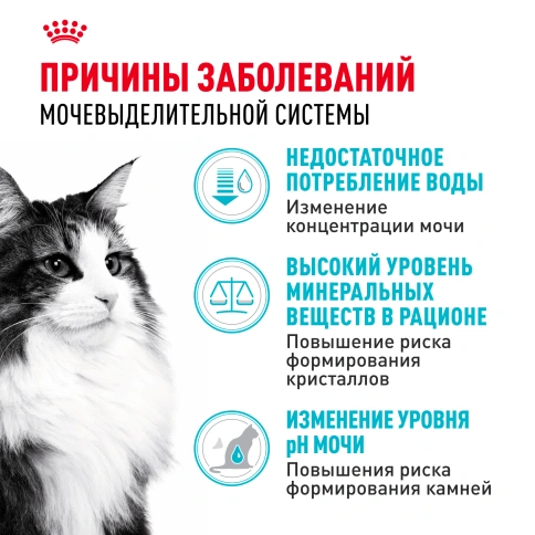 Сухой корм Royal Canin Urinary Care для кошек для профилактика мочекаменной болезни, 4 кг фото 2