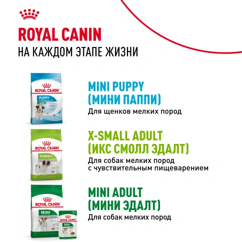 Сухой корм Royal Canin X-Small Puppy для щенков, 1,5 кг фото 13