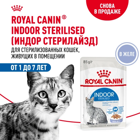 Влажный корм Royal Canin Indoor sterilised в желе для кошек, живущих в помещении, пауч, 85 г фото 16