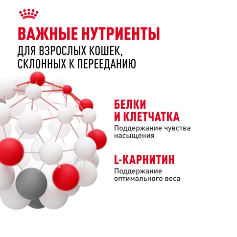 Сухой корм Royal Canin Appetite Control Care для кошек для контроля аппетита, 2 кг фото 5