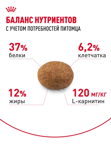 Сухой корм Royal Canin Sterilised для кастрированных котов и стерилизованных кошек, 1,2 кг фото 25