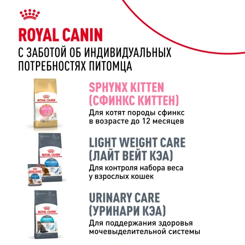 Сухой корм Royal Canin Sphynx для кошек породы сфинкс, 2 кг фото 10