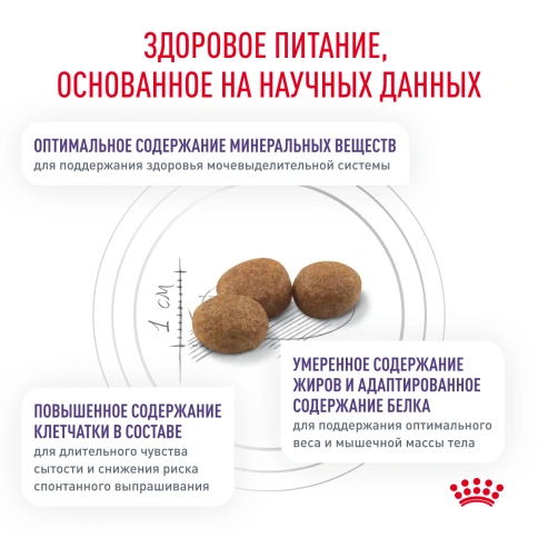Сухой корм Royal Canin Neutered Satiety Balance для кастрированных котов и стерилизованных кошек до 7 лет, 300 г фото 4
