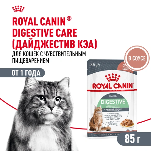 Влажный корм Royal Canin Digest Sensitive в соусе для улучшения пищеварения у взрослых кошек старше 1 года, пауч, 85 г фото 1