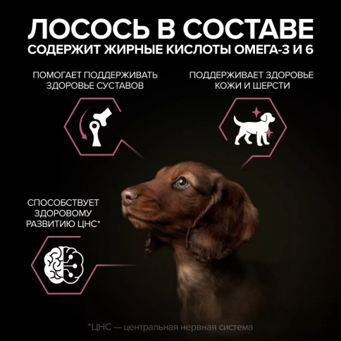 Сухой корм PRO PLAN Salmon для щенков мелких и карликовых пород с чувствительной кожей, с лососем, 3 кг фото 3