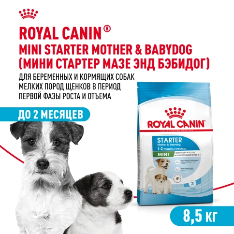 Сухой корм Royal Canin Mini Starter Mother & Babydog для щенков и кормящих сук, 8,5 кг фото 1