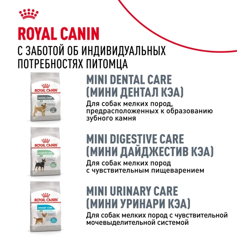 Сухой корм Royal Canin Mini Dermacomfort для собак, 3 кг фото 10