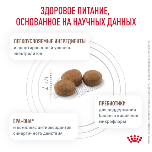 Сухой корм Royal Canin Gastrointestinal Low Fat Small Dogs для собак, 1 кг фото 4