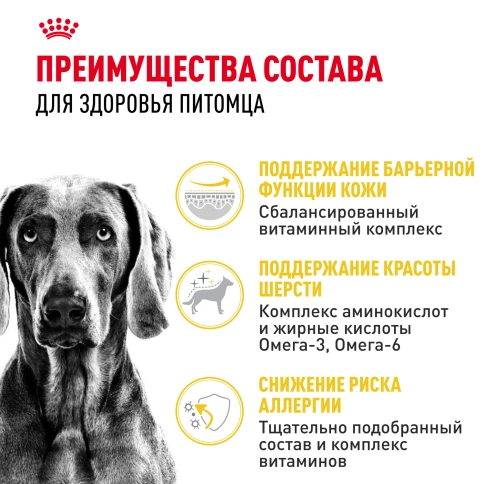 Сухой корм Royal Canin Maxi Dermacomfort для собак, 10 кг фото 3