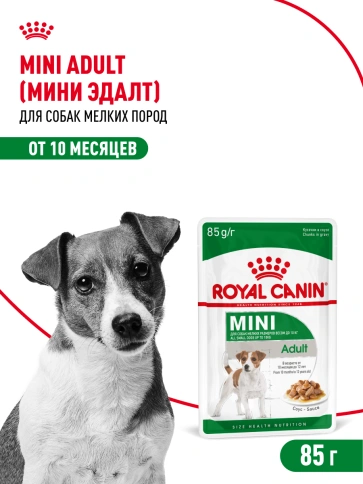 Влажный корм Royal Canin Mini Adult в соусе для взрослых собак мелких пород старше 10 месяцев, пауч, 85 г фото 21