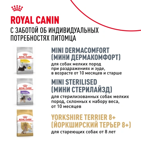 Сухой корм Royal Canin Yorkshire Terrier Adult для взрослых собак, 500 г фото 9
