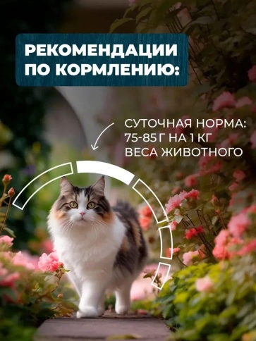 Влажный корм Родные корма Rabbit для кошек, с кроликом и сердечками кусочки в желе по-тульски для улучшения кожи и шерсти, 85 г фото 4