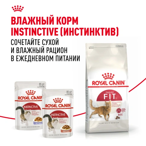 Сухой корм Royal Canin Fit для кошек, 4 кг фото 8