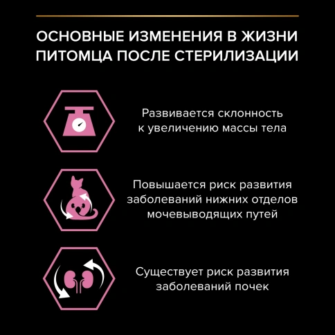 Сухой корм PRO PLAN Chicken для взрослых стерилизованных кошек и кастрированных котов старше 1 года, с высоким содержанием курицы, 400 г фото 2