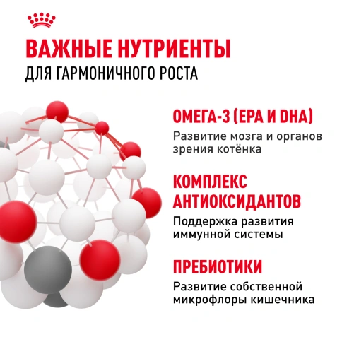 Сухой корм Royal Canin Kitten для котят, 10 кг фото 7