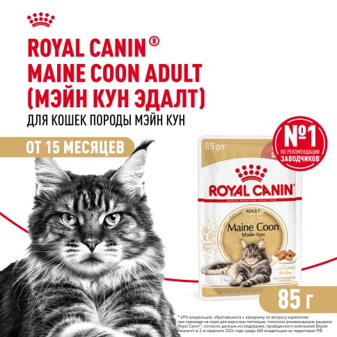 Влажный корм Royal Canin Maine Coon в соусе для кошек породы мейн-кун и других крупных пород старше 1 года, пауч, 85 г фото 1