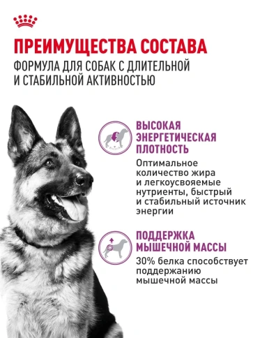 Сухой корм Royal Canin Club Energy HE, для активных собак, 20 кг фото 3