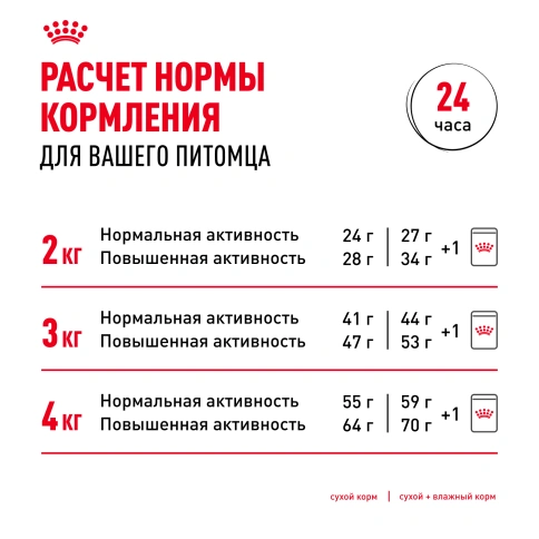 Сухой корм Royal Canin Chihuahua Adult для собак породы чихуахуа, 500 г фото 9