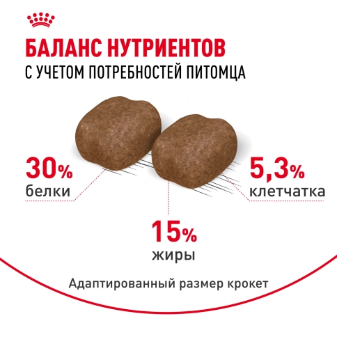 Сухой корм Royal Canin Dental Care для кошек, 1,5 кг фото 4